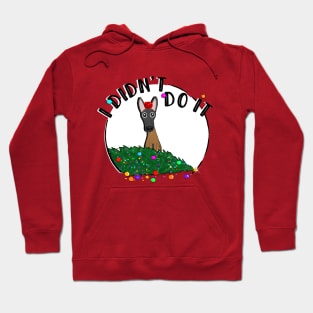 I didn't do it! Holiday Edition! Hoodie